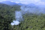 mexican-soldiers-destroy-coca-plantations.jpg