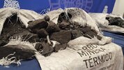 bags-of-cocaine-impregnated-charcoal.jpg