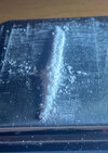 IMG_2136.jpeg