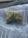 IMG_2332.jpeg