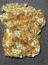 IMG_0011.jpeg
