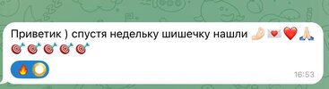 IMG_20260531_165616_778.jpg