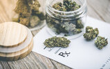 rsz_1marijuana_fullsize.jpg