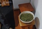 1780634874838.jpeg