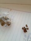 IMG_20260624_201627_MFNR.jpg