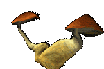 MCKMPPTSFFHNJQPFP6BEPXT4NRLBFKKZ.gif