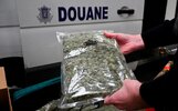 496183076_AFP_BELGIUM-CUSTOMS-DRUGS_1784813580211_trans_NvBQzQNjv4Bqu-OikvdBRER69p9XrEwjPvQUJe...jpg