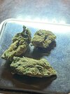 IMG_3745.jpeg