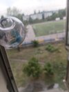 20260721_113423.jpg