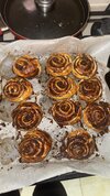 IMG_7297.jpeg