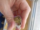 IMG_20260810_093745.jpg IMG_20260810_093745.jpg