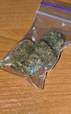 IMG_3987.jpeg