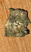 IMG_3989.jpeg