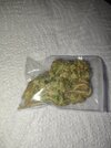 IMG_20260810_094045.jpg