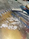 IMG_5986.jpeg