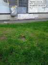 IMG-20250818-194303-239.jpg