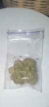 IMG_7723.jpeg