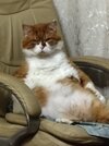 IMG_4963.jpeg