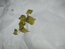 IMG_20260904_174606_604.jpg