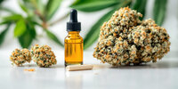 hm-cbd-oel-flasche-und-cannabis-bluete-neben-featured-82550-750x375.jpg