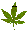 6LC5A7DB5YMULBE7JHY4AEFC3E7BQYRI.gif