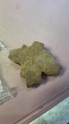 IMG_7856.jpeg