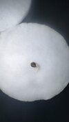 IMG_8010.jpeg