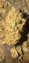 IMG_8020.jpeg