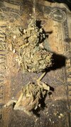 IMG_8041.jpeg