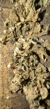 IMG_8045.jpeg