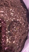 IMG_8048.jpeg