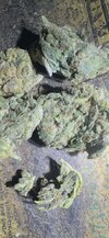 IMG_8085.jpeg