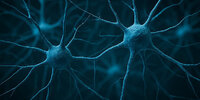 neurons-750x375.jpg
