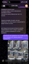 IMG_8377.png