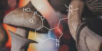 psychedelic-psilocybin-mushroom-molecule-750x375.jpg