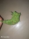 IMG_20261012_202701.jpg