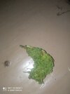 IMG_20261012_202632.jpg