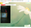 1.PNG