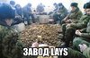 1YhpjwaLY50.jpg