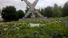 WP_20180710_13_20_06_Pro.jpg