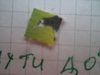 DSC01140.JPG