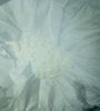 IMG_20180807_232349_369.jpg