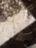 IMG_20181227_201036.jpg