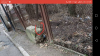 Screenshot_20181227-210559.png