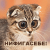 740365831.gif 740365831.gif