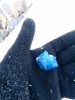 IMG_20190206_094625.jpg