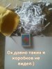 IMG_20190215_174902.jpg