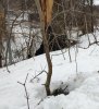 IMG_20190216_104240.jpg