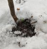 IMG_20190216_104318.jpg