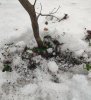 IMG_20190216_104343.jpg